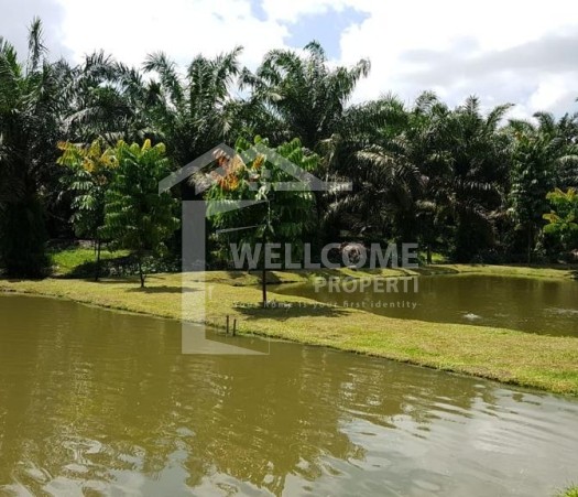 DIJUAL SEBIDANG TANAH LUAS JL. TENGKU MAHMUD