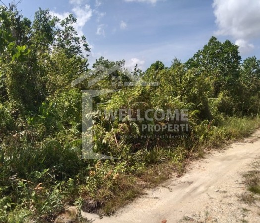 DIJUAL TANAH YANG LUAS, JL. GARUDA SAKTI KM.6