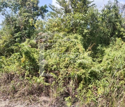 DIJUAL TANAH YANG LUAS, JL. GARUDA SAKTI KM.6