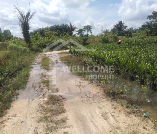 DIJUAL TANAH YANG LUAS, JL. GARUDA SAKTI KM.6