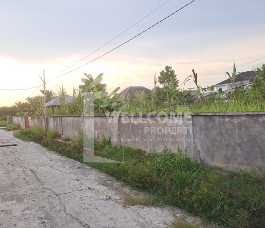 DIJUAL 2 BIDANG TANAH LUAS, JL. ROKAN
